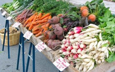 Time To Get Back To Basics